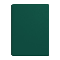 Business diary - calendar SENATOR SPIREX DAY 2026, A4, green color