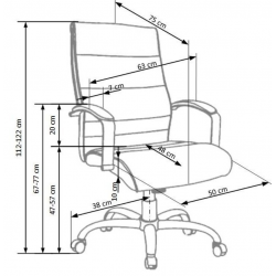 Chair TEKSAS natural leather, black color