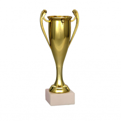 Trophy 7093B height 29cm diameter 7.5cm