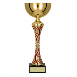 Trophy 8364F height 27.5cm diameter 10cm