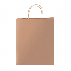 Paper gift bag for Christmas PEKKOLA, 265×330×135 mm, COOL