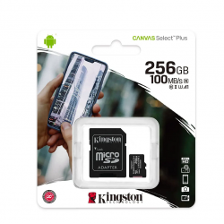 Micro SD Card 256GB