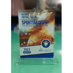 Glass trophy 80032 dimensions 175x125x10mm