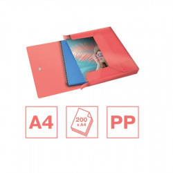 Document box ESSELTE COLOUR ICE, red color