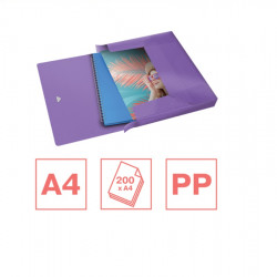 Document box ESSELTE COLOUR ICE, violet color