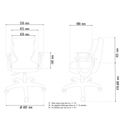 Chair ENTELO NORM BLACK JASMINE 01, black color