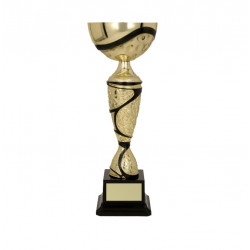 Trophy 7196BP height 38cm diameter 15cm