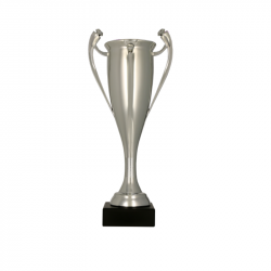 Trophy 7094B height 29cm diameter 7.5cm