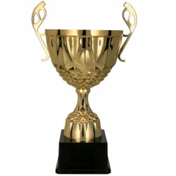 Trophy 7220C height 28.5cm, diameter 12cm