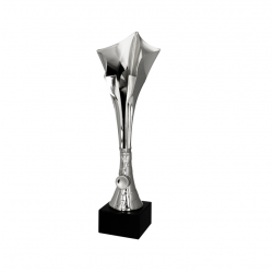 Trophy 8370S height 39cm silver color