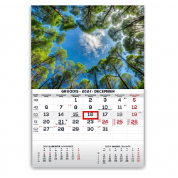 Wall-Mounted Calendar, Single-Part MONO 30x42 cm