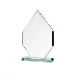 Glass trophy G018 dimensions 270x175x19mm