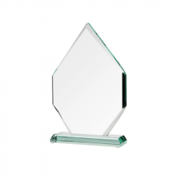 Glass trophy G018, 270x175x19 mm