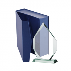 Glass trophy G018 dimensions 270x175x19mm