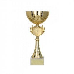 Trophy 8342E height 24cm width 10cm