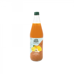 Tea concentrate ŽOLYNĖLIS quince with lemon 750 ml