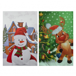 Cellophane gift bag 25x40 cm