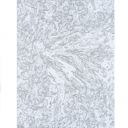 Paint by number kit BALLERINA, 40x50cm Centrum