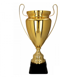 Trophy height 42cm, diameter 18cm