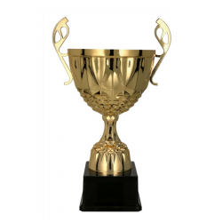 Trophy 7220D height 26.5cm diameter 10cm