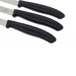 Knife set VICTORINOX PARING 3pcs, black color