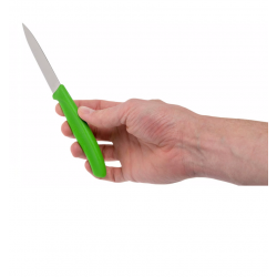 Knives VICTORINOX PARING 2 pcs, 8cm, green color