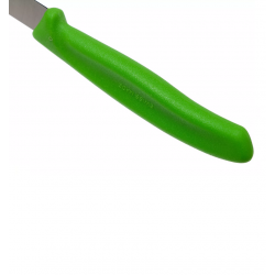 Peiliai VICTORINOX PARING 2 vnt, 8cm, žalios sp.