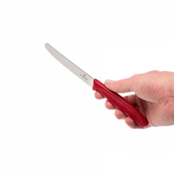 Knife set VICTORINOX PARING 3pcs, red color