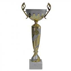 Trophy NT1024C height 37.5cm diameter 12cm