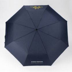 Umbrella automatic DUO, blue / silver color