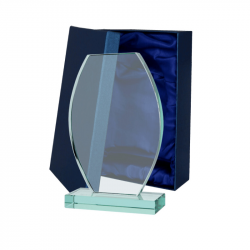 Glass trophy G043 height 24cm with box