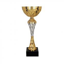 Trophy 8233B height 34cm diameter 12cm