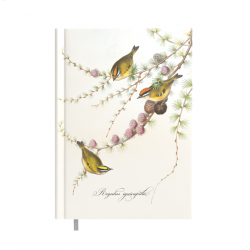 Darbo knyga - kalendorius BUSINESS DAY DESIGN A5, 2026 m., LITTLE BIRDS