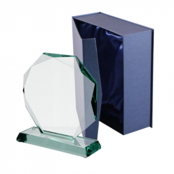 Stiklinis trofėjus G020 matmenys 170x60x195mm