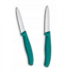 Knives VICTORINOX PARING 2 pcs 8cm, green color