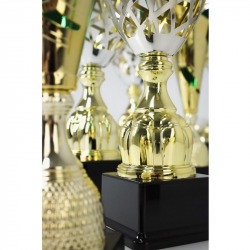 Trophy 3163D height 33.5cm diameter 14cm