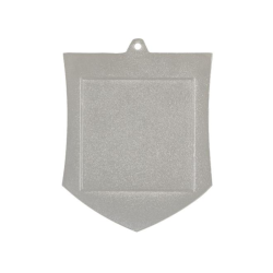 Medalis karate MD8054 sidabro spalvos