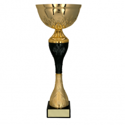 Trophy 9268B height 32cm diameter 12cm