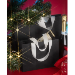 Gift bag DUNA 24x18x8cm black