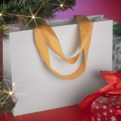 Gift bag DUNA 36x28.4x12cm white