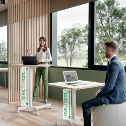Kompaktiškas reguliuojamas stalas LEITZ ERGO  80x60, baltas