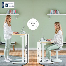 Kompaktiškas reguliuojamas stalas LEITZ ERGO  80x60, baltas