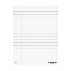 Konferencijų bloknotas langeliais ESSELTE 59x80cm 50l
