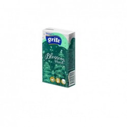 Disposable handkerchiefs GRITE DAILY SOFT 3 layers, mint scent