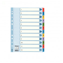Separation sheets for binders A4 1-12 ESSELTE, colored